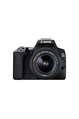 Canon EOS 250D digital camera - with lens EF-S 18-55mm F4-5.6 IS STM (24.1 megapixel, 7.7 cm (3 inch) vari-angle display, APS-C sensor, 4K, full HD, DIGIC 8, WLAN, Bluetooth), black on sale